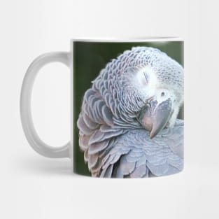 MACAW Mug